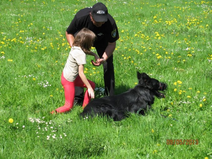 Úkoly městské policie