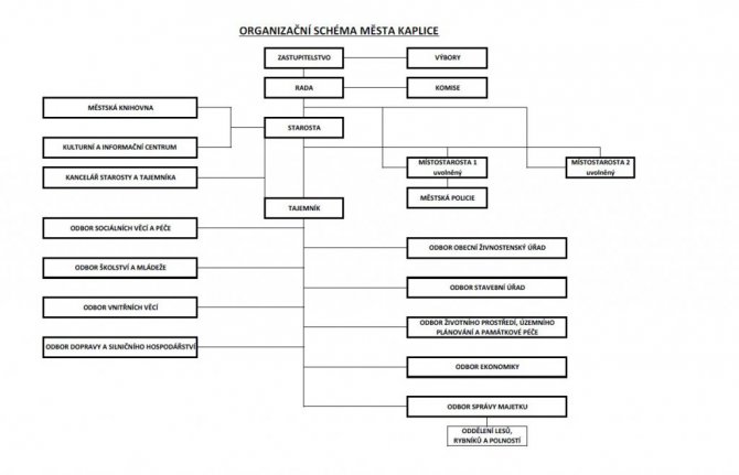 Organizační struktura