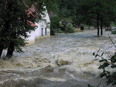 Malsk dol u rybrny, 8.8.2002